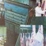 Meat Workers in an Industrial Landscape