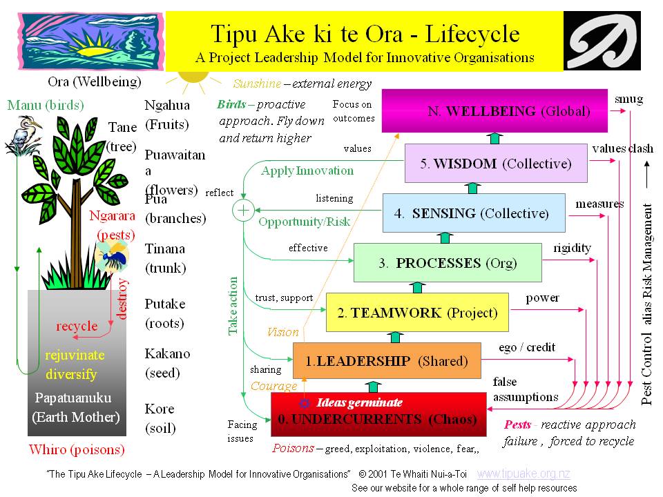 Tipu Ake Lifecycle - a leadership model for innovative organisations